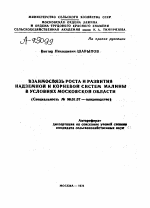 ВЗАИМОСВЯЗЬ РОСТА И РАЗВИТИЯ НАДЗЕМНОЙ И КОРНЕВОЙ СИСТЕМ МАЛИНЫ В УСЛОВИЯХ МОСКОВСКОЙ ОБЛАСТИ - тема автореферата по сельскому хозяйству, скачайте бесплатно автореферат диссертации