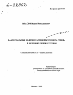 Бактериальные болезни растений Cucurbita pepo L. в условиях Приднестровья - тема автореферата по сельскому хозяйству, скачайте бесплатно автореферат диссертации