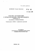 Участие фотодыхания в предотвращении окислительного стресса у Chlorella stigmatophora - тема автореферата по биологии, скачайте бесплатно автореферат диссертации