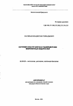 Изучение культур клеток и тканей морских макрофитных водорослей - тема автореферата по биологии, скачайте бесплатно автореферат диссертации