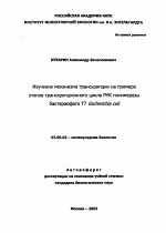 Изучение механизма транскрипции на примере этапов транскрипционного цикла РНК полимеразы бактериофага Т7 Escherichia coli - тема автореферата по биологии, скачайте бесплатно автореферат диссертации