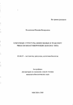 Клеточные структуры, вовлеченные в транспорт рибосом-инактивирующих белков II типа - тема автореферата по биологии, скачайте бесплатно автореферат диссертации