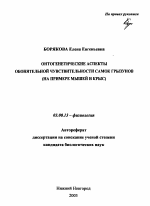 Онтогенетические аспекты обонятельной чувствительности самок грызунов - тема автореферата по биологии, скачайте бесплатно автореферат диссертации