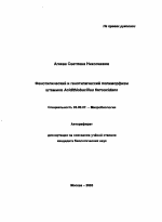 Фенотипический и генотипический полиморфизм штаммов Acidithiobacillus ferrooxidans - тема автореферата по биологии, скачайте бесплатно автореферат диссертации