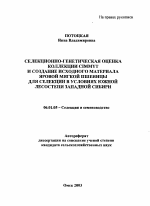 Селекционно-генетическая оценка коллекции Cimmyt и создание исходного материала яровой мягкой пшеницы для селекции в условиях южной лесостепи Западной Сибири - тема автореферата по сельскому хозяйству, скачайте бесплатно автореферат диссертации