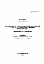 Механизмы антагонистического действия бактерий на фитопатогенные грибы в ризосфере овощных культур - тема автореферата по биологии, скачайте бесплатно автореферат диссертации