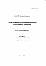 Изучение подвижности транскрипционных комплексов методом аффинной модификации - тема автореферата по биологии, скачайте бесплатно автореферат диссертации