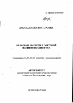 Белковые маркеры в сортовой идентификации риса - тема автореферата по сельскому хозяйству, скачайте бесплатно автореферат диссертации