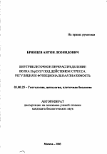 Внутриклеточное перераспределение белка Hsp25/27 под действием стресса: регуляция и функциональная значимость - тема автореферата по биологии, скачайте бесплатно автореферат диссертации