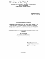 Развитие территориальной структуры хозяйства Мексики под воздействием интеграционных процессов на Североамериканском континенте - тема диссертации по наукам о земле, скачайте бесплатно