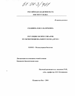 Регуляция экспрессии мРНК мультифункционального белка p50/YB-1 - тема диссертации по биологии, скачайте бесплатно