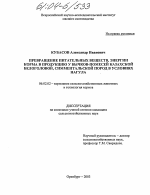 Превращение питательных веществ, энергии корма в продукцию у бычков-помесей казахской белоголовой, симментальской пород в условиях нагула - тема диссертации по сельскому хозяйству, скачайте бесплатно