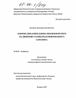 Влияние динамики длины миозиновой нити на движение границ неактивированного саркомера - тема диссертации по биологии, скачайте бесплатно