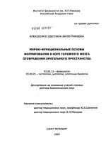 Морфо-функциональные основы формирования в коре головного мозга отображения зрительного пространства - тема диссертации по биологии, скачайте бесплатно