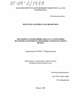 Механизм ассимиляции ацетата у пурпурных несерных бактерий, не имеющих глиоксилатного шунта - тема диссертации по биологии, скачайте бесплатно