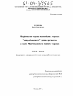 Морфология черепа мезозойских черепах "макробэнидного" уровня развития и место Macrobaenidae в системе черепах - тема диссертации по биологии, скачайте бесплатно