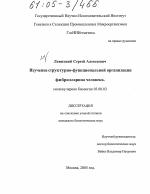 Изучение структурно-функциональной организации фибрилларина человека - тема диссертации по биологии, скачайте бесплатно