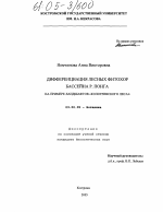 Дифференциация лесных фитохор бассейна р. Понга на примере ландшафтов "Кологривского леса" - тема диссертации по биологии, скачайте бесплатно