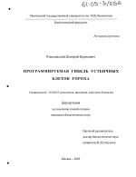 Программируемая гибель устьичных клеток гороха - тема диссертации по биологии, скачайте бесплатно