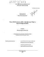 Роль киназы р38α и фосфатазы Wip1 в опухолеобразовании - тема диссертации по биологии, скачайте бесплатно