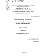 Структура линий Y-хромосомы в популяциях Сибири - тема диссертации по биологии, скачайте бесплатно