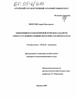 Эффективность фосфоритной муки под сахарную свеклу в условиях Средней лесостепи Алтайского края - тема диссертации по сельскому хозяйству, скачайте бесплатно