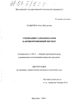 Утилизация гальваношламов в антикоррозионный пигмент - тема диссертации по географии, скачайте бесплатно