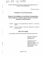 Влияние лактобифадола на рубцовое пищеварение, обмен энергии и мясную продуктивность бычков красной степной породы - тема диссертации по сельскому хозяйству, скачайте бесплатно