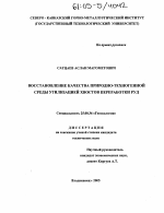 Восстановление качества природно-техногенной среды утилизацией хвостов переработки руд - тема диссертации по наукам о земле, скачайте бесплатно