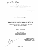 Обнаружение и функциональное исследование нейропептидов, гомологичных пептидам CNP улитки Helix lucorum L., в нервной системе других беспозвоночных - тема диссертации по биологии, скачайте бесплатно