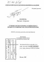 Тучные клетки человека и животных в процессе развития рака молочной железы - тема диссертации по биологии, скачайте бесплатно