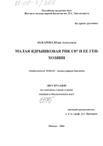 Малая ядрышковая РНК U87 и ее ген-хозяин - тема диссертации по биологии, скачайте бесплатно