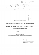 Организация специфических и неспецифических таламических влияний на различные слои соматосенсорной коры крысы в бодрствовании и медленноволновом сне - тема диссертации по биологии, скачайте бесплатно