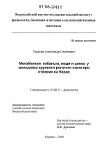 Метаболизм кобальта, меди и цинка у молодняка крупного рогатого скота при откорме на барде - тема диссертации по биологии, скачайте бесплатно