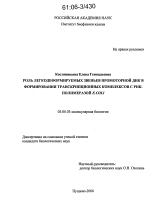 Роль легкодеформируемых звеньев промоторной ДНК в формировании транскрипционных комплексов с РНК-полимеразой E. coli - тема диссертации по биологии, скачайте бесплатно