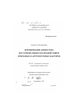 Формирование древостоев Восточной Сибири под воздействием природных и антропогенных факторов - тема диссертации по сельскому хозяйству, скачайте бесплатно