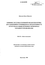 Влияние системы основной обработки почвы, доз удобрений и гербицидов на продуктивность кукурузы на выщелоченных черноземах Западного Предкавказья - тема диссертации по сельскому хозяйству, скачайте бесплатно