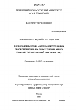 Почвоподобные тела автохемолитотрофных экосистем пещер - тема диссертации по биологии, скачайте бесплатно