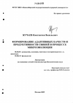 Формирование адаптивных качеств и продуктивности свиней в процессе микроэволюции - тема диссертации по сельскому хозяйству, скачайте бесплатно