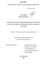 Влияние трансплантации мезенхимных стволовых клеток на течение экспериментального инфаркта миокарда - тема диссертации по биологии, скачайте бесплатно