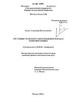 Регуляция транспорта митохондрий в клетках млекопитающих - тема диссертации по биологии, скачайте бесплатно