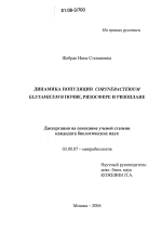 Динамика популяции Corynebacterium glutamicum в почве, ризосфере и ризоплане - тема диссертации по биологии, скачайте бесплатно