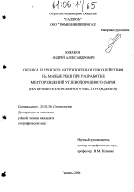 Оценка и прогноз антропогенного воздействия на малые реки при разработке месторождений углеводородного сырья - тема диссертации по наукам о земле, скачайте бесплатно