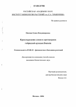 Криосохранение семян и протокормов гибридной орхидеи Bratonia - тема диссертации по биологии, скачайте бесплатно