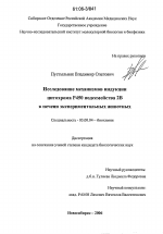 Исследование механизмов индукции цитохрома Р450 подсемейства 2В в печени экспериментальных животных - тема диссертации по биологии, скачайте бесплатно