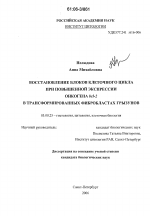 Восстановление блоков клеточного цикла при повышенной экспрессии онкогена bcl-2 в трансформированных фибробластах грызунов - тема диссертации по биологии, скачайте бесплатно