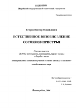 Естественное возобновление сосняков Присурья - тема диссертации по сельскому хозяйству, скачайте бесплатно