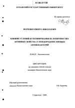 Влияние условий культивирования на поверхностно-активные свойства углеводородокисляющих актинобактерий - тема диссертации по биологии, скачайте бесплатно