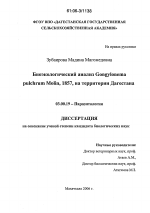 Биоэкологический анализ Gongylonema pulchrum Molin, 1857, на территории Дагестана - тема диссертации по биологии, скачайте бесплатно