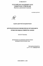 Цитогенетическая и молекулярная организация B-хромосом хищных семейства Canidae - тема диссертации по биологии, скачайте бесплатно